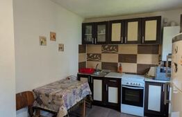 Casă individuala, 75 mp, teren 2180 mp, 2 fronturi stradale, zona Pucioasa