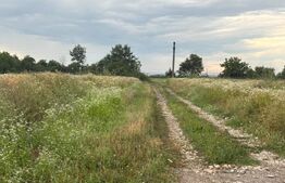 Teren intravilan de vânzare, 536 mp/lot, zona Ulmi