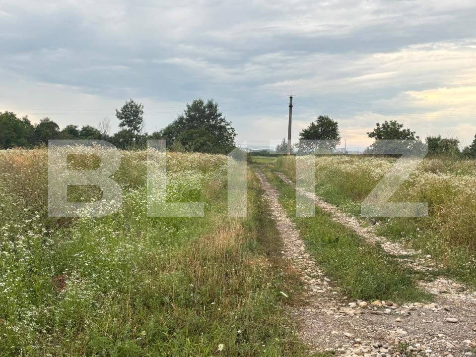 Teren de vânzare Ulmi - 201020TV | BLITZ Târgoviște | Poza3