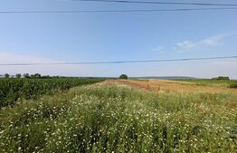 Teren de vanzare, 3.000 mp, utilități și acces asfaltat, zona Comișani