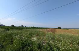 Teren de vanzare, 3.000 mp, utilități și acces asfaltat, zona Comișani