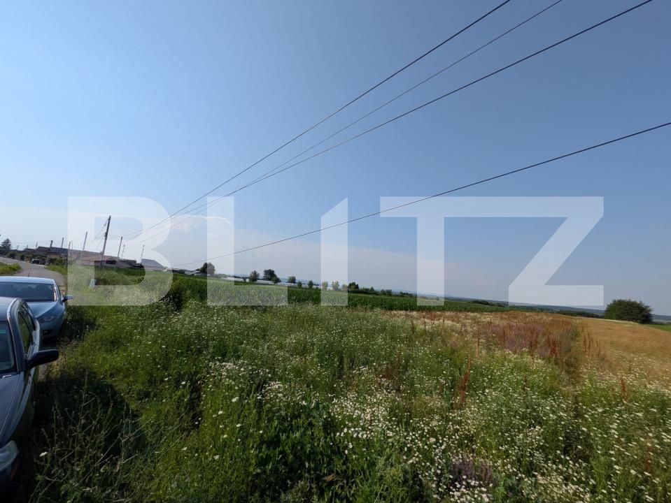Teren de vânzare Comisani - 201023TV | BLITZ Târgoviște | Poza2