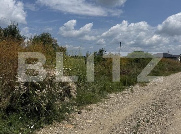 Teren de vânzare Ulmi - 201129TV | BLITZ Târgoviște | Poza1