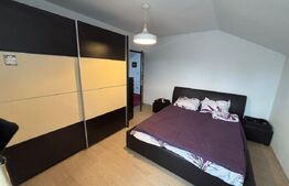 Casă P+M, 110 mp, teren 938 mp, zona Mănăstioara