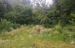 Teren intravilan, 2306 mp, zona Teis