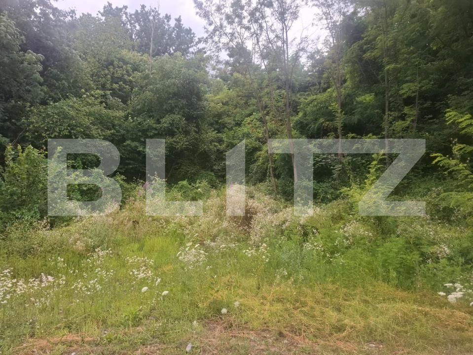 Teren de vânzare Teis - 201451TV | BLITZ Târgoviște | Poza4