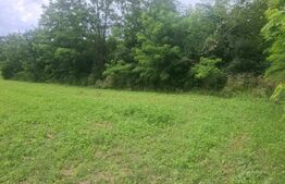 Teren intravilan, 1.000 mp, zona Șotânga 