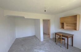 Parter cu 3 camere, teren 600 mp, Văcărești