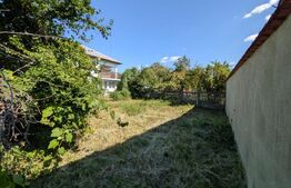 Parter cu 3 camere, teren 600 mp, Văcărești