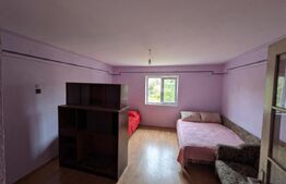 Parter cu 3 camere, teren 600 mp, Văcărești