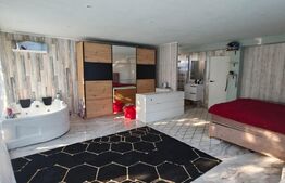 Casa de vanzare, 273 mp, teren 1300 mp, zona Brezoaia