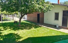 Casa de vanzare, 80 mp, zona Tartasesti 