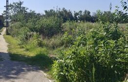 Teren intravilan, 1.218 mp pe colț, dublă deschidere, zona Niculești