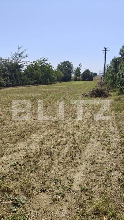 Casa de vânzare 6 camere Dobra - 202043CV | BLITZ Târgoviște | Poza9