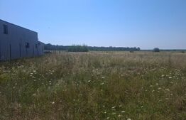 Teren intravilan, 4400 mp, zona Dragomirești 