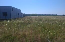 Teren intravilan, 4400 mp, zona Dragomirești 
