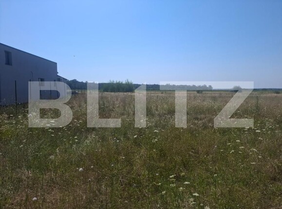 Teren de vânzare Dragomiresti - 202352TV | BLITZ Târgoviște | Poza5