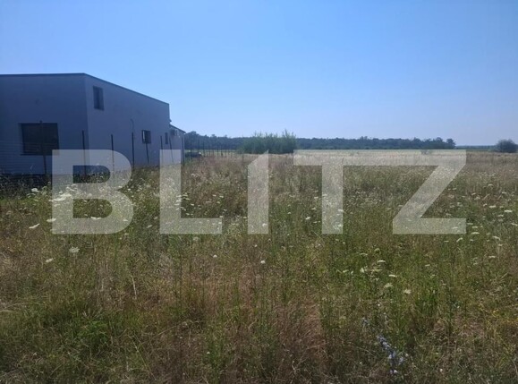 Teren de vânzare Dragomiresti - 202352TV | BLITZ Târgoviște | Poza1