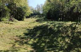 Teren extravilan, 1.824 mp, deschidere 22,5 ml, zona Valea Voievozilor