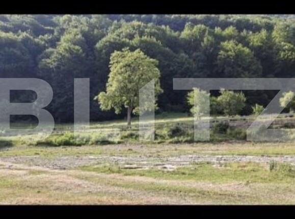 Teren de vânzare Moroeni - 202485TV | BLITZ Târgoviște | Poza2