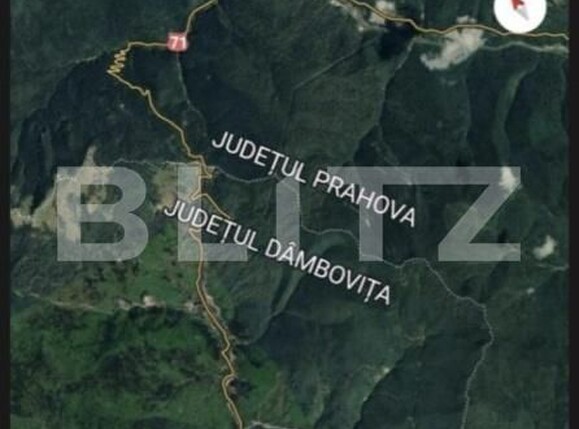Teren de vânzare Moroeni - 202485TV | BLITZ Târgoviște | Poza4