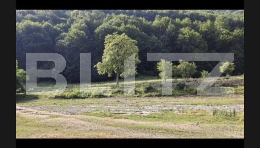 Teren de vânzare Moroeni - 202485TV | BLITZ Târgoviște | Poza2