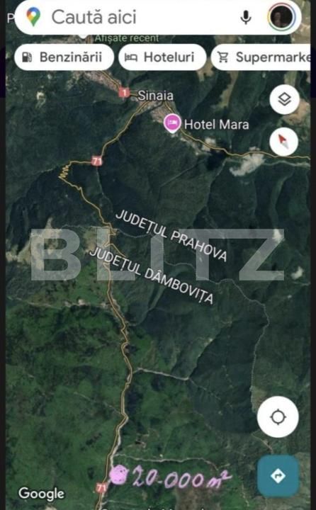Teren de vânzare Moroeni - 202485TV | BLITZ Târgoviște | Poza4
