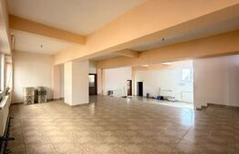 Ansamblu comercial, 1.258 mp, zona Ultracentral — Piața Moreni