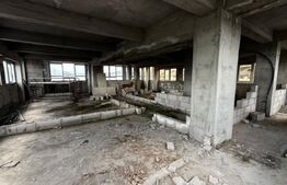 Ansamblu comercial, 1.258 mp, zona Ultracentral — Piața Moreni
