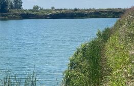 Teren intravilan, 4,76 ha, zona Pitaru