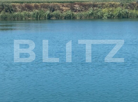 Teren de vânzare Pitaru - 202597TV | BLITZ Târgoviște | Poza8