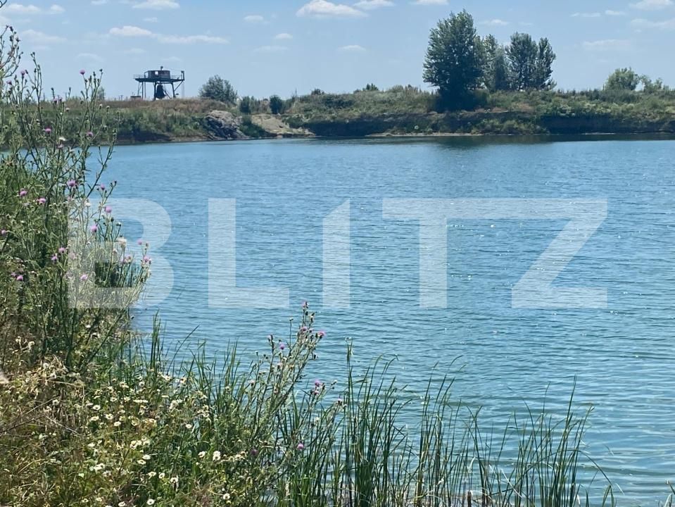 Teren de vânzare Pitaru - 202597TV | BLITZ Târgoviște | Poza6