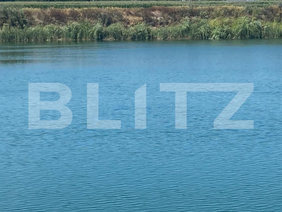 Teren de vânzare Pitaru - 202597TV | BLITZ Târgoviște | Poza8