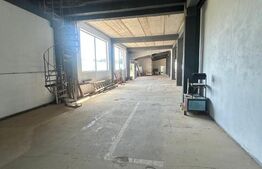 Spatiu industrial, 1500 mp, zona Pucioasa 