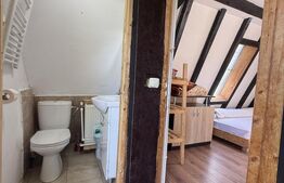Proprietate cu piscină/ciubăr, 53 mp, zona Pietrari