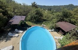 Proprietate cu piscină/ciubăr, 53 mp, zona Pietrari