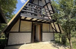 Proprietate cu piscină/ciubăr, 53 mp, zona Pietrari