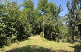 Proprietate cu piscină/ciubăr, 53 mp, zona Pietrari