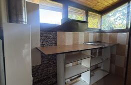 Proprietate cu piscină/ciubăr, 53 mp, zona Pietrari