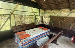Proprietate cu piscină/ciubăr, 53 mp, zona Pietrari