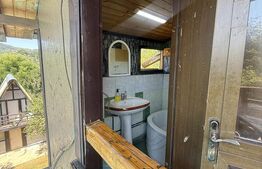 Proprietate cu piscină/ciubăr, 53 mp, zona Pietrari
