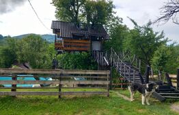 Proprietate cu piscină/ciubăr, zona Pietrari