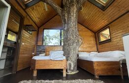 Proprietate cu piscină/ciubăr, 53 mp, zona Pietrari