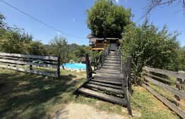 Proprietate cu piscină/ciubăr, 53 mp, zona Pietrari