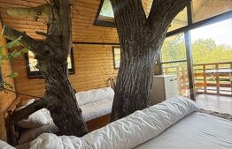 Proprietate cu piscină/ciubăr, 53 mp, zona Pietrari