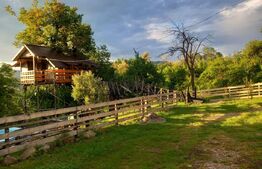 Proprietate cu piscină/ciubăr, zona Pietrari