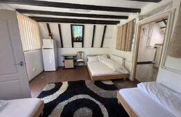 Proprietate cu piscină/ciubăr, 53 mp, zona Pietrari