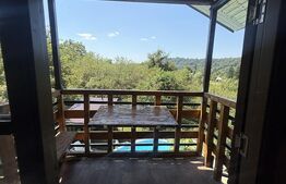 Proprietate cu piscină/ciubăr, 53 mp, zona Pietrari
