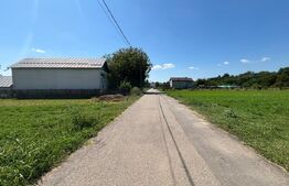 Teren intravilan, 1.782 mp, deschidere 20 ml, zona Branesti