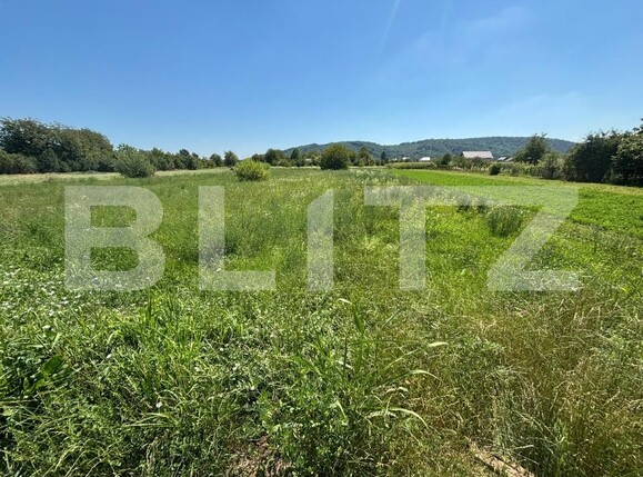 Teren de vânzare Branesti - 202847TV | BLITZ Târgoviște | Poza1